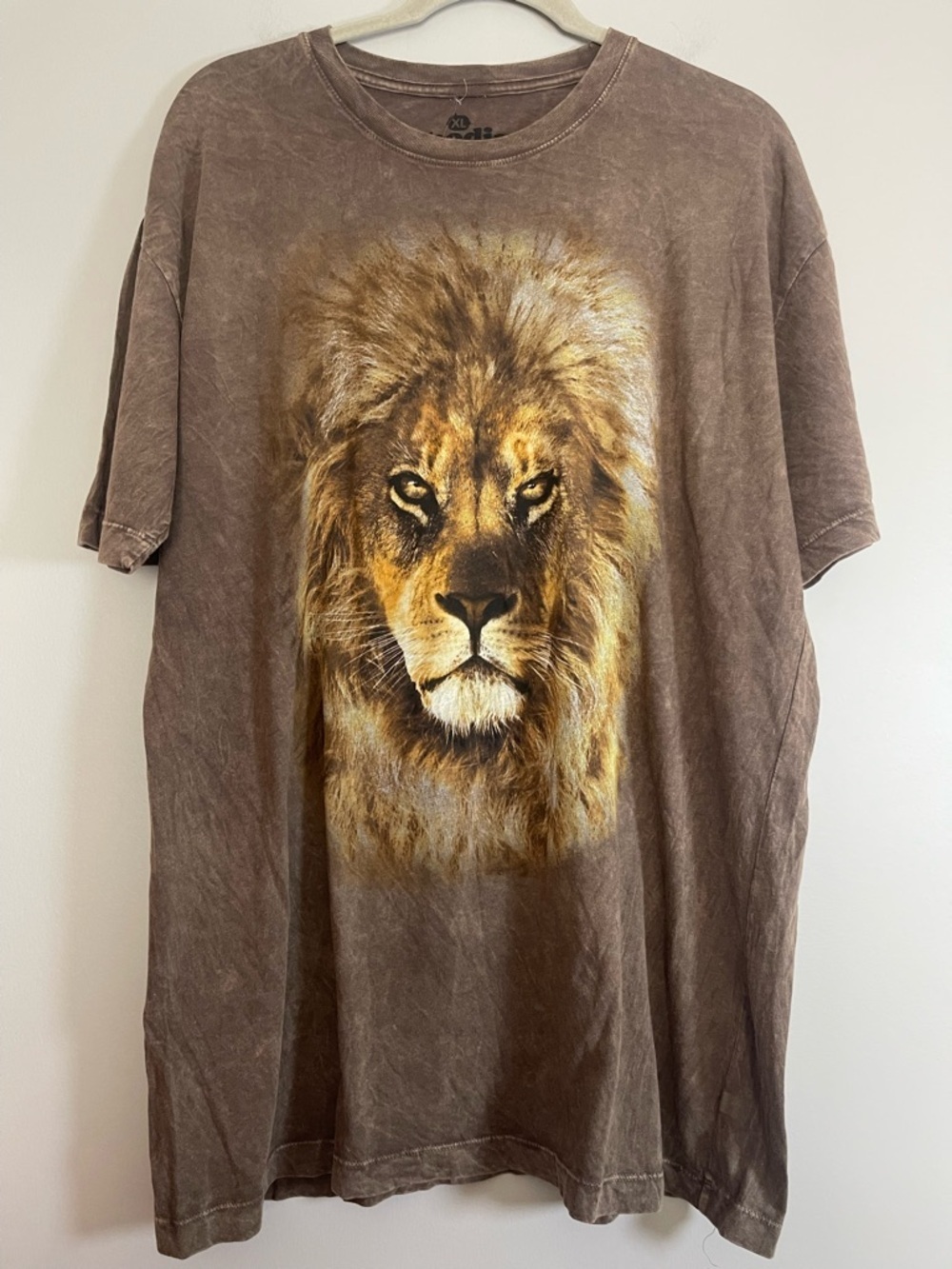 Goodie Two Sleeves X Disney Brown Lion Graphic T-Shirt